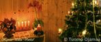 28_12_2012_3678.jpg