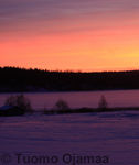 29_12_2008_6957.jpg