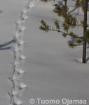 30_03_2011_9511.jpg
