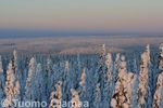 31_01_2012_8298.jpg