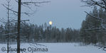 IMG_0906.jpg