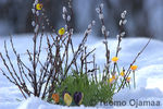 IMG_2264copy.jpg