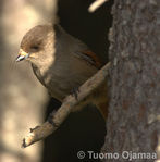 IMG_2286.jpg