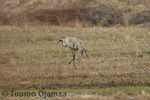 IMG_2843.jpg
