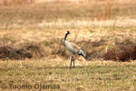 IMG_2846.jpg