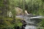 IMG_4463.jpg