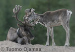 IMG_4740a.jpg