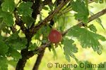 IMG_5764.jpg