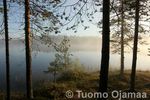 IMG_6112.jpg
