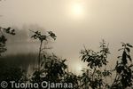 IMG_6131.jpg