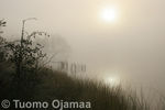 IMG_6135.jpg