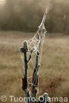 IMG_6155.jpg