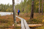 IMG_6328_copy.jpg