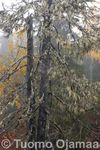 IMG_6393.jpg