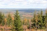 IMG_6557.jpg
