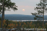 IMG_6630.jpg