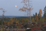 IMG_6655.jpg