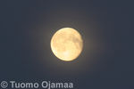 IMG_6712.jpg
