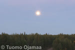 IMG_6722.jpg