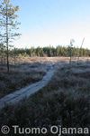 IMG_6790.jpg