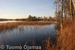 IMG_6919.jpg
