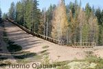 IMG_6985.jpg