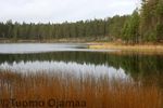 IMG_7068.jpg