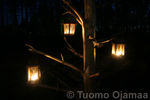 IMG_7463.jpg