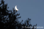 IMG_7475.jpg