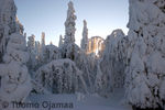 Lumimaisema2.jpg