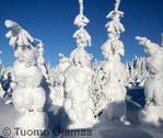 Lumimaisema4.jpg