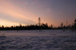 Maisema~1.jpg
