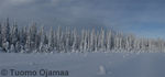 Panorama17.jpg