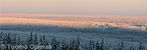 Panorama6.jpg