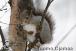 _MG_7638.jpg