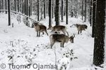 _MG_7644.jpg