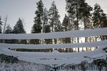 _MG_7907.jpg