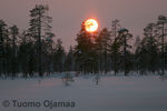 aurinko096.jpg