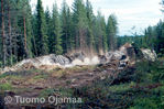 Tiedostonimi=dia20010.jpg
Tiedostokoko=95KB
Tarkkuus=551x366
Lisätty= 9.04.2007 dia20010.jpg
