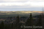 vaaramaisema01.jpg